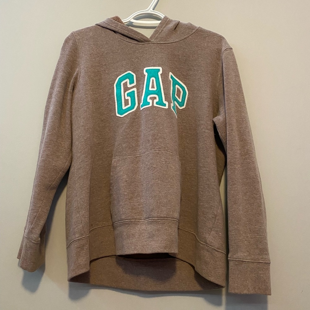 Brown and teal trendy Gap hoodie